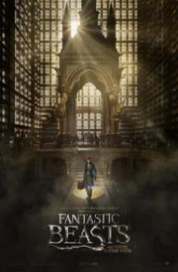 Fantastic Beasts and Where to Find