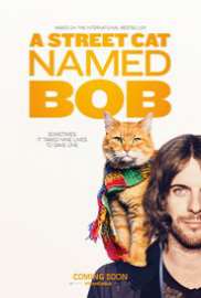A Street Cat Named Bob 2016